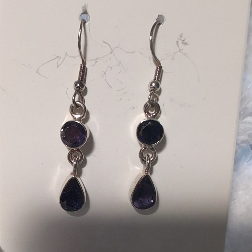 Elegant Blueish /Purple Drop Earrings